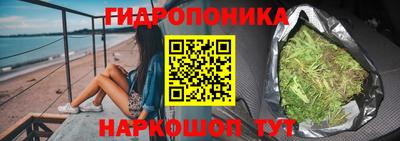 гашик Кимры