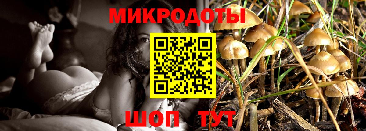 Псилоцибиновые грибы MAGIC MUSHROOMS Кудрово