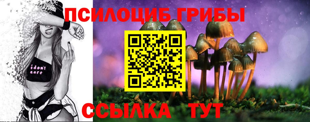 Кудрово  Галлюциногенные грибы ЛСД  купить   Вход с VPN 
