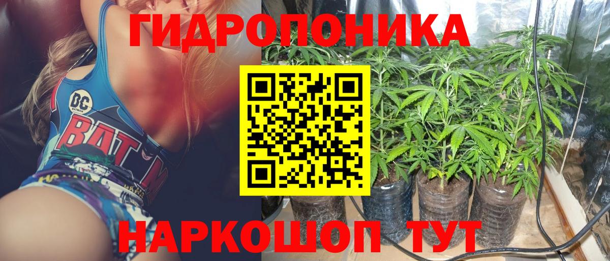 Конопля сатива  Вход с VPN  Кудрово  Каннабис MAZAR 